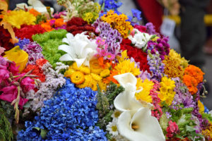 silletas (large floral displays) in The Desfile de Silleteros (Parade of Flowers) during the Feria de las Flores is an annual festival in Colombia, South America