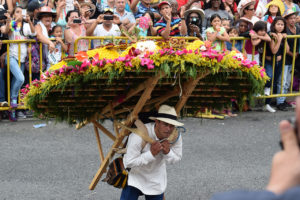 farmers carry silletas (large floral displays) in The Desfile de Silleteros (Parade of Flowers) during the Feria de las Flores is an annual festival in Colombia, South America