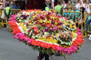 silletas (large floral displays) in The Desfile de Silleteros (Parade of Flowers) during the Feria de las Flores is an annual festival in Colombia, South America