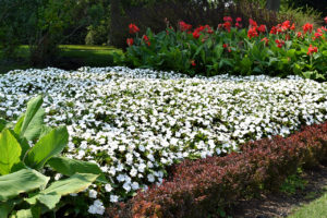 Formal gardens at Nemours Mansion & Gardens in Wilmington, Delaware.