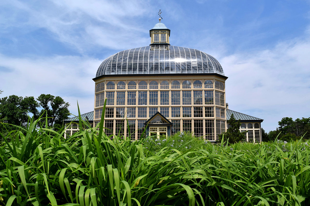 glass greenhouse at Rawlings Conservatory in Baltimore, Maryland