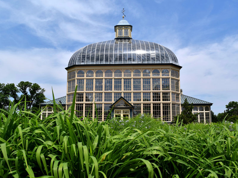 glass greenhouse at Rawlings Conservatory in Baltimore, Maryland