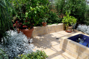 Mediterranean room at Rawlings Conservatory in Baltimore, Maryland