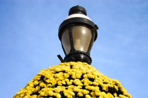 flower-adorned lamp post in The Enid A. Haupt Garden in Washington, D.C.