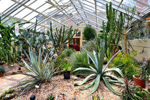 dessert room at Rawlings Conservatory in Baltimore, Maryland
