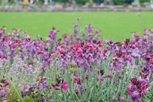 Jardin du Luxembourg (Luxembourg Gardens) in Paris, France.