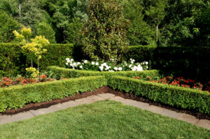 formal gardens at Brookside Gardens in Silver Spring, Maryland