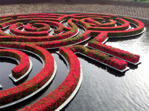 bougainvillea maze in Robert Irwin's Central Garden at The Getty Center in Los Angeles, California