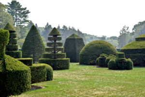 topiary garden, taken in Longwood Gardens in Kennett Square, Pennsylvania