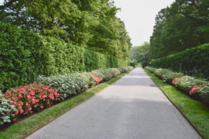 garden lined walkway, taken in Longwood Gardens in Kennett Square, Pennsylvania