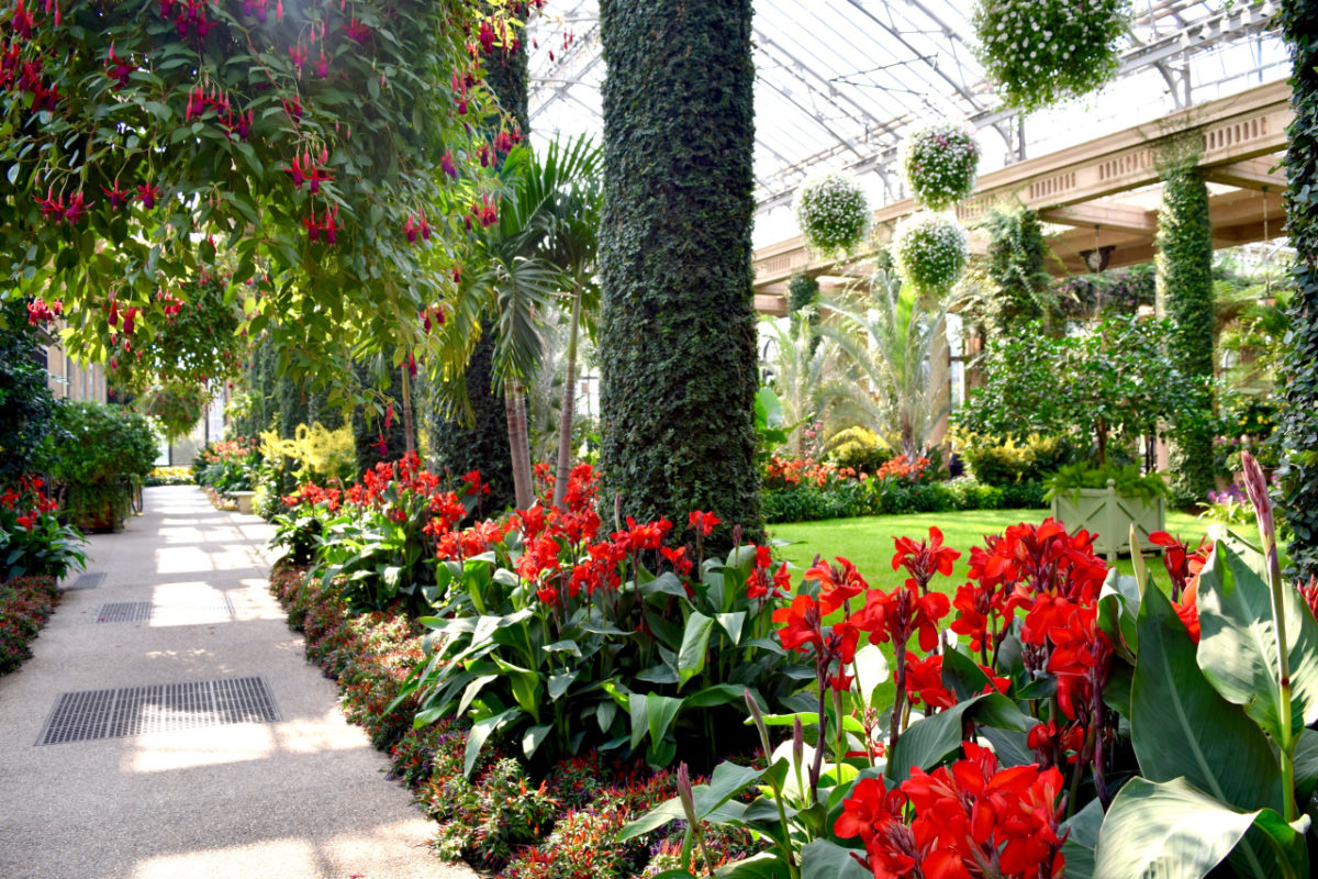 conservatory garden display, taken in Longwood Gardens in Kennett Square, Pennsylvania