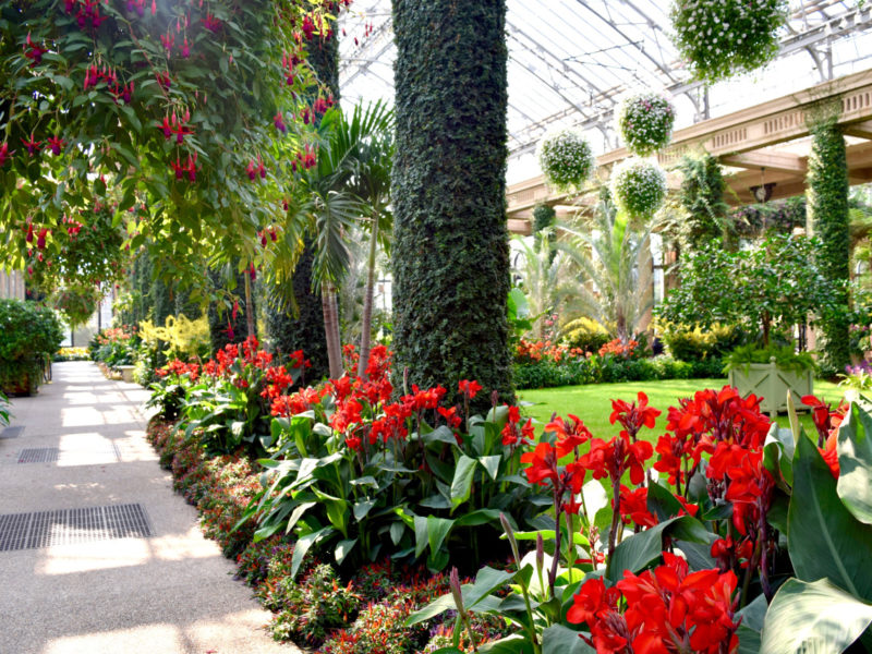 conservatory garden display, taken in Longwood Gardens in Kennett Square, Pennsylvania