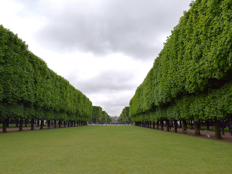 tree-lined promenade at the Jardin du Luxembourg (Luxembourg Gardens) in Paris, France.