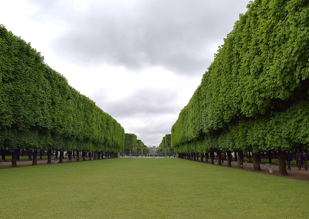 tree-lined promenade at the Jardin du Luxembourg (Luxembourg Gardens) in Paris, France.