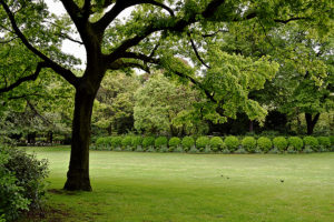 Jardin du Luxembourg (Luxembourg Gardens) in Paris, France.