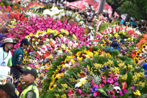 The Desfile de Silleteros (Parade of Flowers) during the Feria de las Flores is an annual festival in Colombia, South America