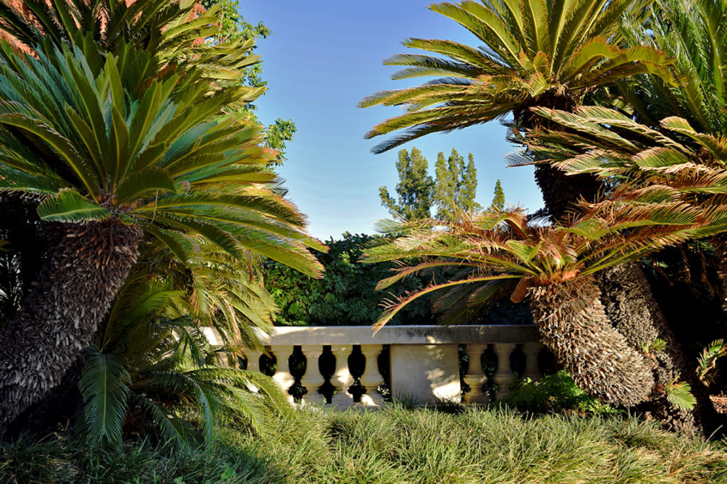 Huntington Library & Gardens in San Marino, California.