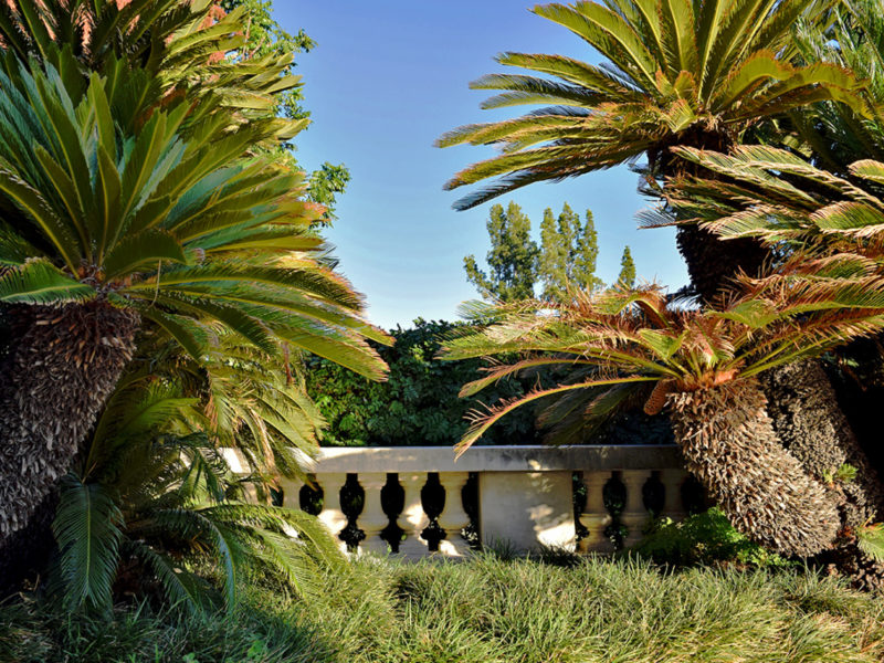 Huntington Library & Gardens in San Marino, California.