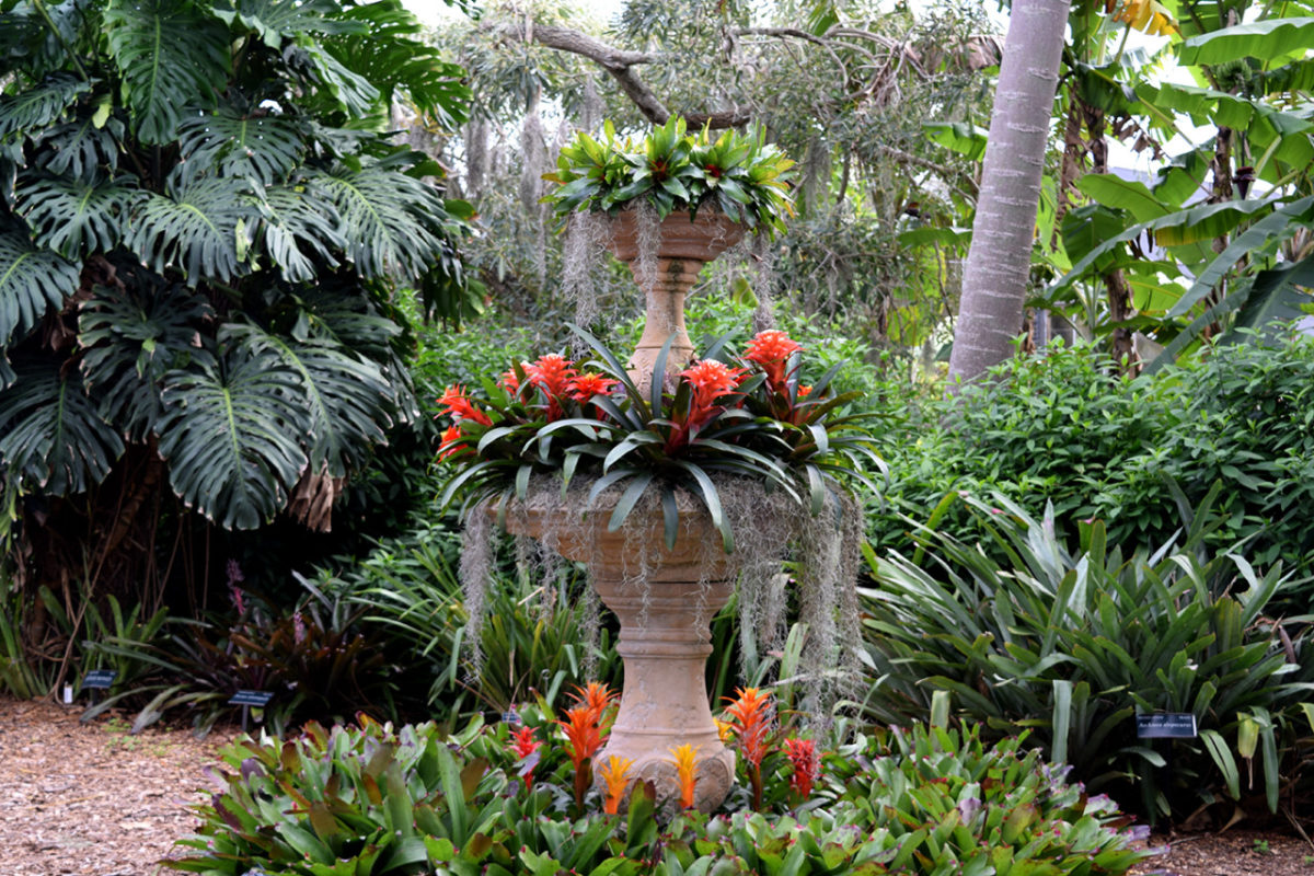 Marie Selby Botanical Gardens in Sarasota, Florida.