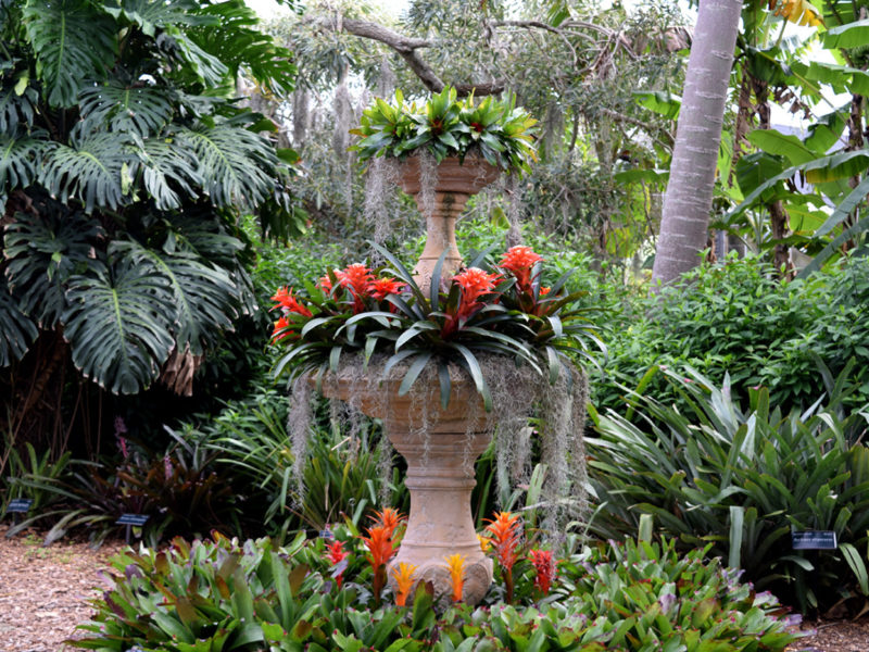 Marie Selby Botanical Gardens in Sarasota, Florida.