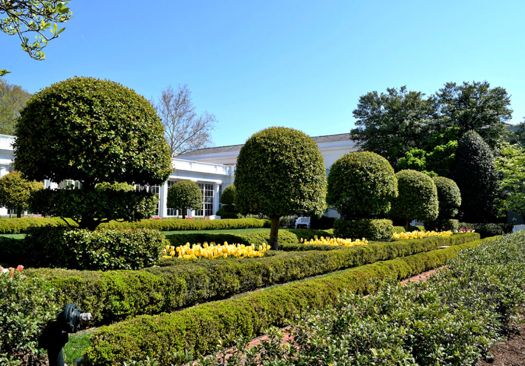 White House Gardens Review Grading Gardens