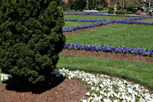 The Enid A. Haupt Garden in Washington, D.C.