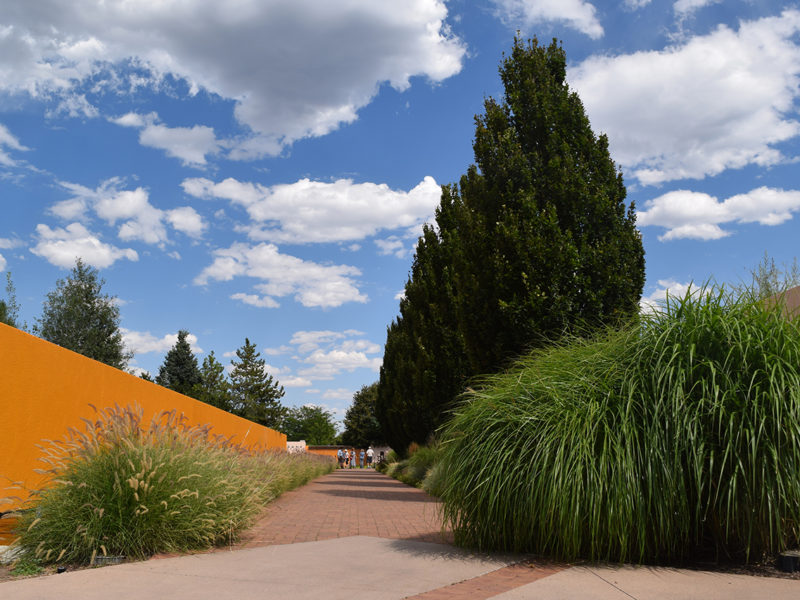 the Romantic Gardens at the Denver Botanic Gardens in Denver, Colorado