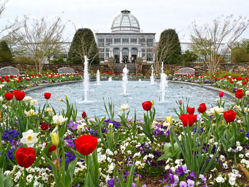 conservatory and fountain at Lewis Ginter Botanical Garden in Henrico, VA