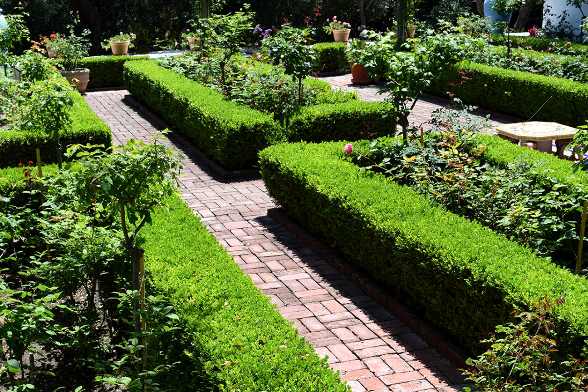 Rancho Los Alamitos Review Grading Gardens