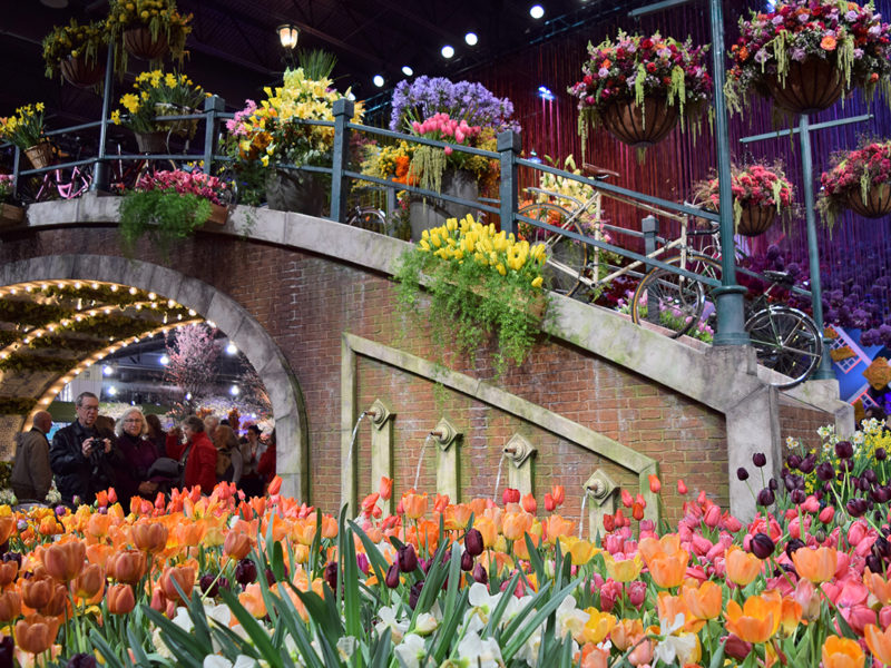 Philadelphia Flower Show 2017 “HOLLAND: Flowering the World” in Philadelphia, Pennsylvania