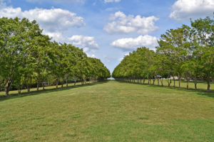 Norfolk Botanical Garden in Norfolk, Virginia