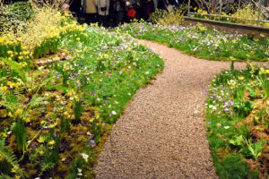 Philadelphia Flower Show 2017 “HOLLAND: Flowering the World” in Philadelphia, Pennsylvania