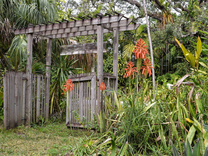 gated entrance to the Sarasota Succulent Society in Sarasota, Florida