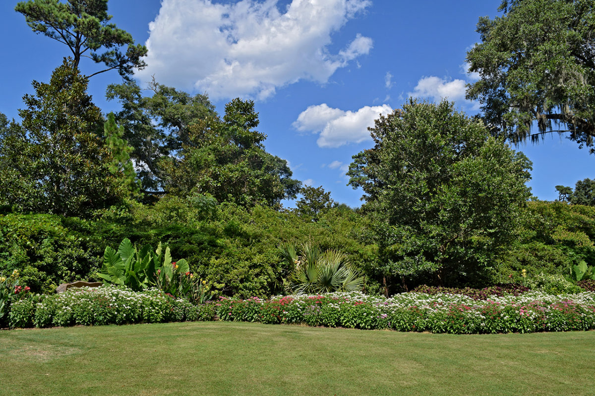 Airlie Gardens Review Grading Gardens