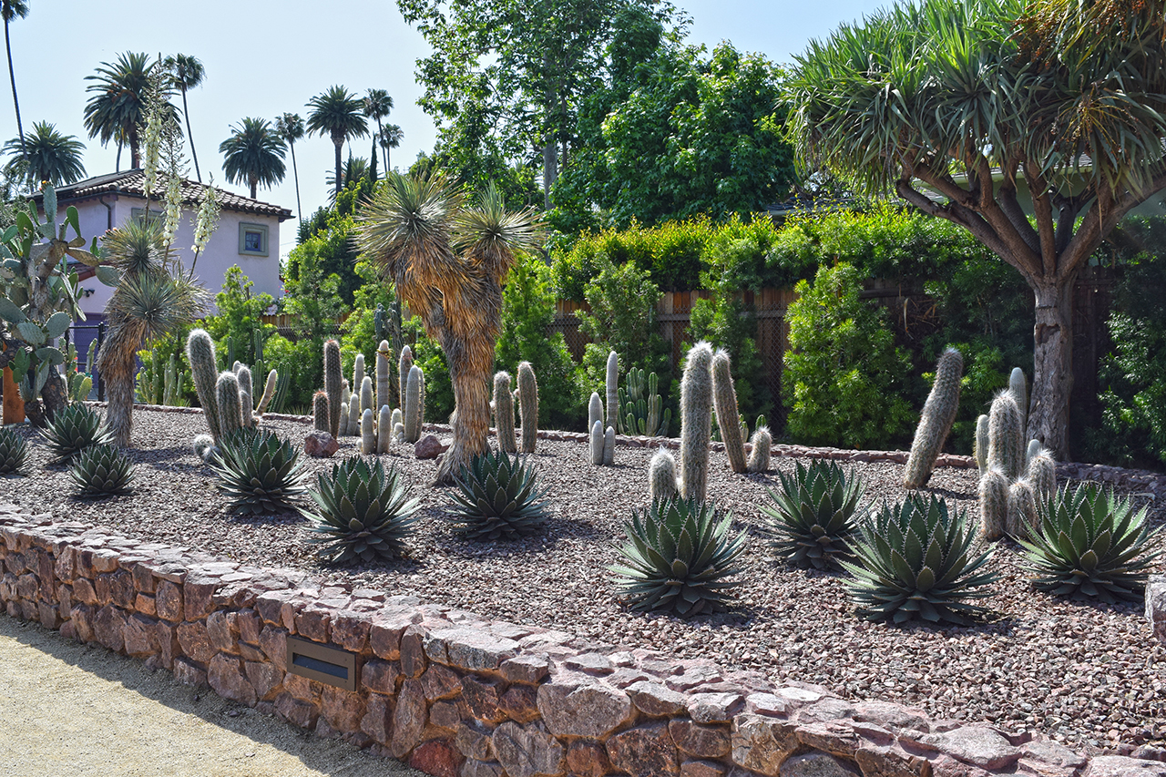 Historic Cactus Garden Review Grading Gardens
