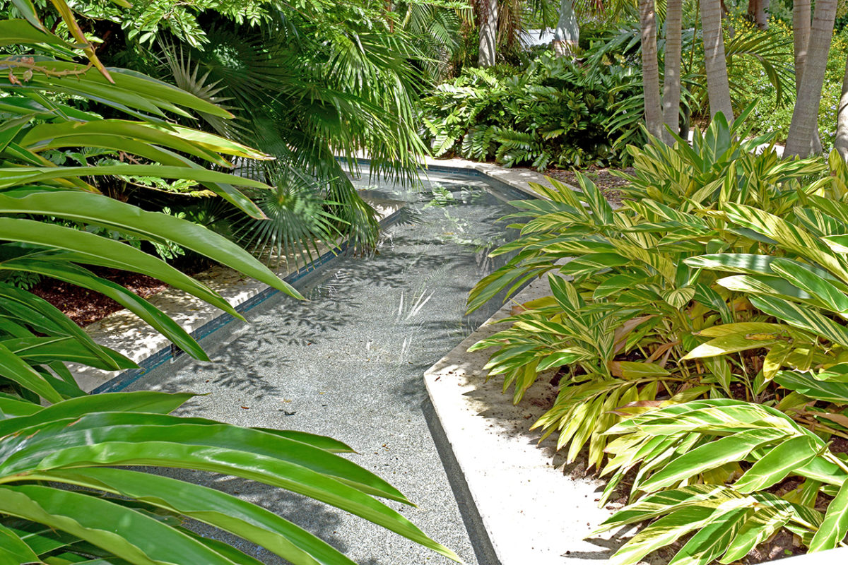waterway at Florida Botanical Gardens in Largo, Florida