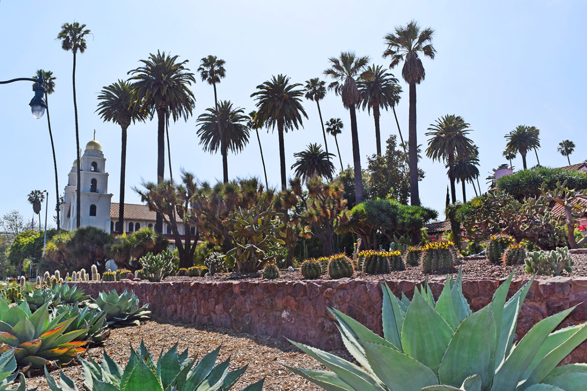 the Historic Cactus Garden in Beverly Gardens Park in Beverly Hills, California