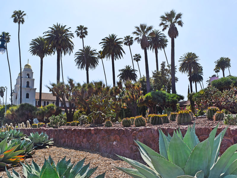 the Historic Cactus Garden in Beverly Gardens Park in Beverly Hills, California