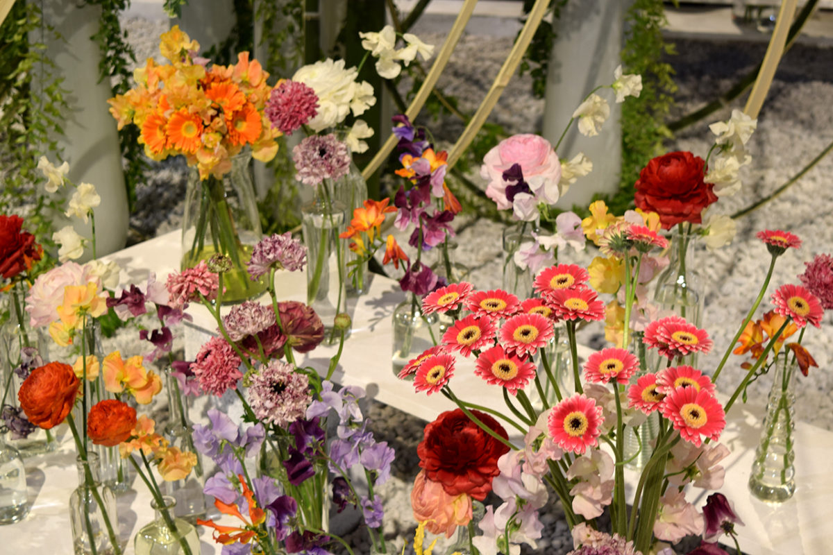 Rhs Chelsea Flower Show 2020 Goes Online With Virtual Chelsea Grading Gardens