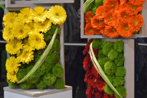 Philadelphia Flower Show 2017 “HOLLAND: Flowering the World” in Philadelphia, Pennsylvania