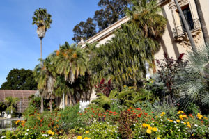 Balboa Park in San Diego, California