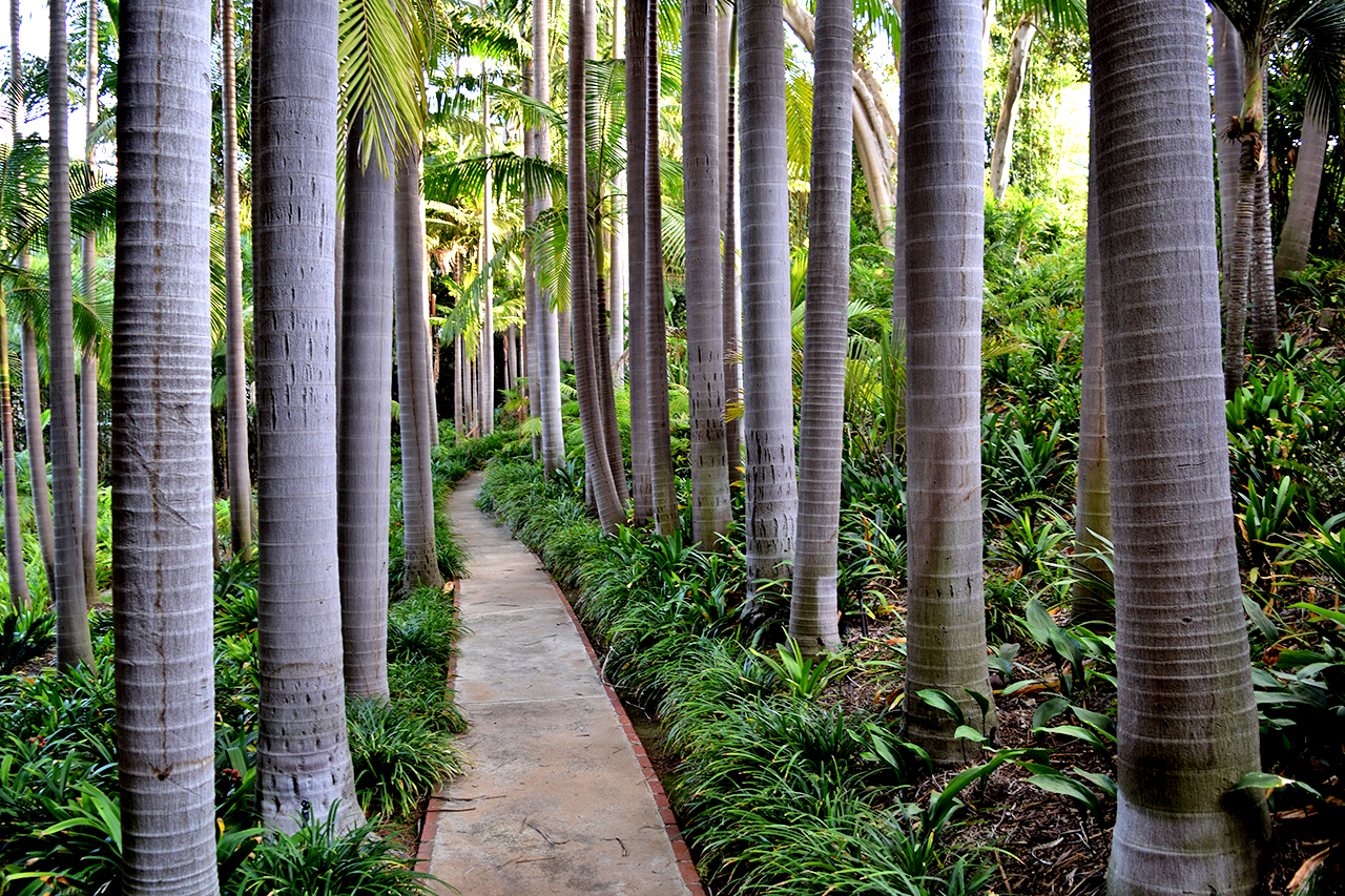 Virginia Robinson Gardens Review Grading Gardens