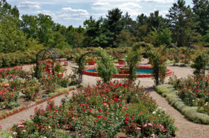 rose garden at the Palace of Gold in New Vrindaban, West Virginia