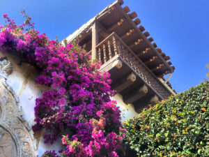 purple bougainvillea at Casa del Herrero in Montecito, California