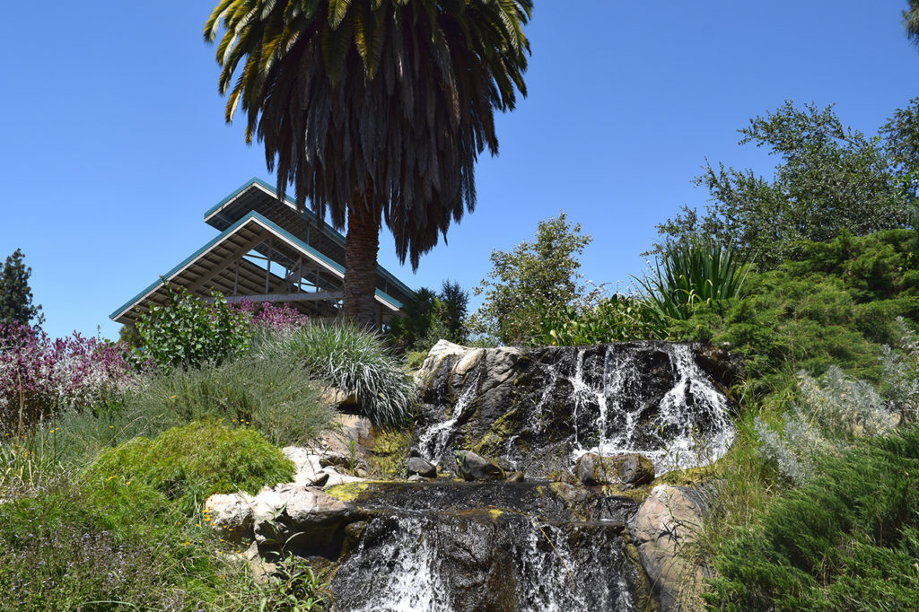 waterfall feature at Fullerton Arboretum & Botanic Garden in Fullerton, California