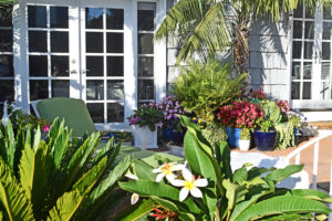 flowers and plants in a yard at California’s Venice Canals in Venice, California