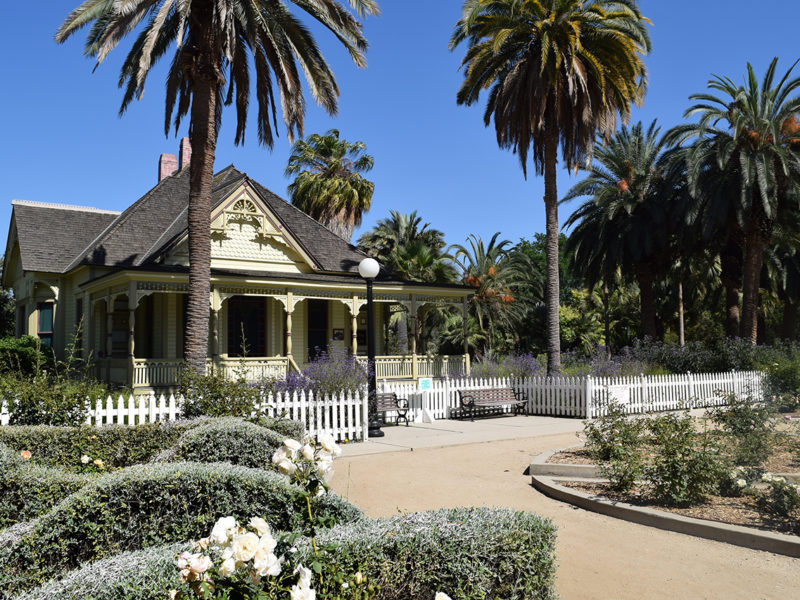 Fullerton Arboretum & Botanic Garden in Fullerton, California