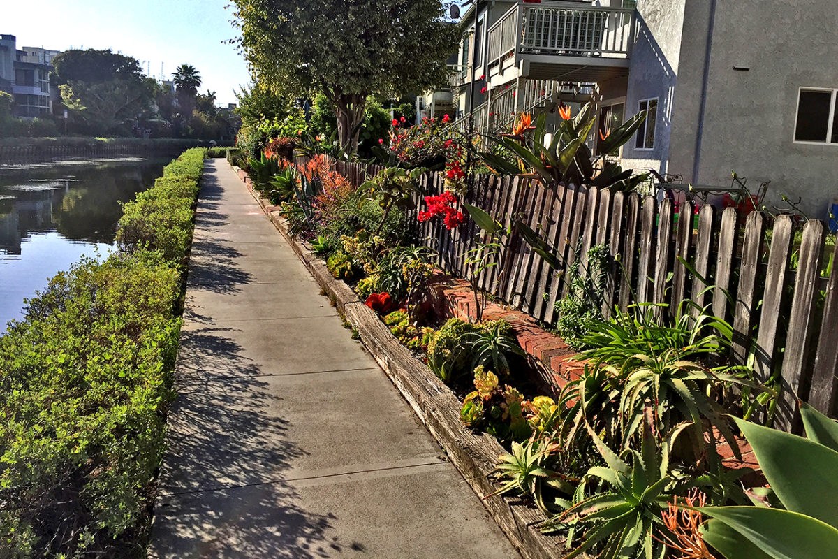 flowers along walkway at California’s Venice Canals in Venice, California