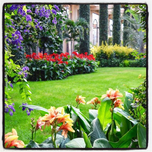 To celebrate the NEW  gradinggardens.com website, I am revisiting each of my garden reviews with an instagram post with some extra insights and info.⠀⠀⠀⠀⠀⠀⠀⠀⠀
⠀⠀⠀⠀⠀⠀⠀⠀⠀
My fourth garden review is one of the most famous gardens in the U.S., @longwoodgardens which boasts astounding feats in landscaping, multiple dazzling fountain displays, and a massive conservatory packed with eye-popping floral displays. ⠀⠀⠀⠀⠀⠀⠀⠀⠀
⠀⠀⠀⠀⠀⠀⠀⠀⠀
When I was fully committed to starting this garden review blog, I began purposefully visiting gardens further out from my immediate area. Longwood Gardens was a two-hour drive from my home in D.C. but after my first unforgettable visit, I made the trip a few more times with no hesitation. Are there any gardens you wouldn’t mind driving a fair distance to visit?⠀⠀⠀⠀⠀⠀⠀⠀⠀
⠀⠀⠀⠀⠀⠀⠀⠀⠀
Head over to gradinggardens.com to read my review of Longwood and many more gardens that I drove distances to discover and share with you!⠀⠀⠀⠀⠀⠀⠀⠀⠀
.⠀⠀⠀⠀⠀⠀⠀⠀⠀
.⠀⠀⠀⠀⠀⠀⠀⠀⠀
.⠀⠀⠀⠀⠀⠀⠀⠀⠀
.⠀⠀⠀⠀⠀⠀⠀⠀⠀
.⠀⠀⠀⠀⠀⠀⠀⠀⠀
#gradinggardens #gardenreview #gardens #garden #longwoodgardens #pennsylvania #americasgardencapital  #flowerphotography #conservatory