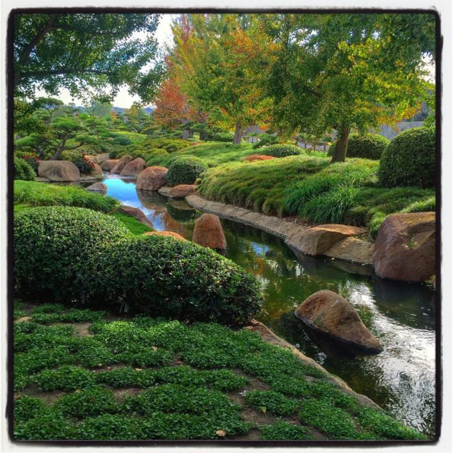 To celebrate my recent refresh of the gradinggardens.com blog, I am revisiting each of my garden reviews with an instagram post. ⠀⠀⠀⠀⠀⠀⠀⠀⠀
⠀⠀⠀⠀⠀⠀⠀⠀⠀
My very fourth garden review represents one of the many gardens I sought out when I was visiting California before my eventual move here. This was one of the most curious gardens I have come across, a wastewater treatment plant paired with a peaceful Japanese garden. It does not sound (or smell) like it should work, but this garden is a pure delight to experience! ⠀⠀⠀⠀⠀⠀⠀⠀⠀
⠀⠀⠀⠀⠀⠀⠀⠀⠀
Head over to gradinggardens.com to read this review and many more! And please do share any “odd” gardens you have come across...⠀⠀⠀⠀⠀⠀⠀⠀⠀
.⠀⠀⠀⠀⠀⠀⠀⠀⠀
.⠀⠀⠀⠀⠀⠀⠀⠀⠀
.⠀⠀⠀⠀⠀⠀⠀⠀⠀
.⠀⠀⠀⠀⠀⠀⠀⠀⠀
.⠀⠀⠀⠀⠀⠀⠀⠀⠀
.⠀⠀⠀⠀⠀⠀⠀⠀⠀
#gradinggardens #gardenreview #gardens #garden #japanesegarden #suihoen #tillmanwaterreclamationplant #losangeles #californiagarden  #gardenphotography #suihoenjapanesegarden #gardendesign #all_gardens  #gardentourism  #gardenstagram #gardensofinstagram  #LA